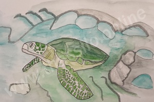 ThassiloWagners Zeichnung - Schildkröte